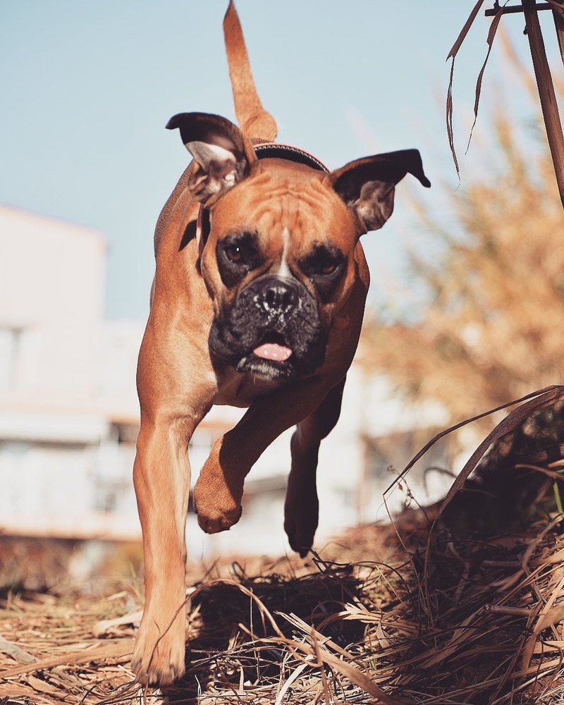 Photograph by Xristos Taxidis