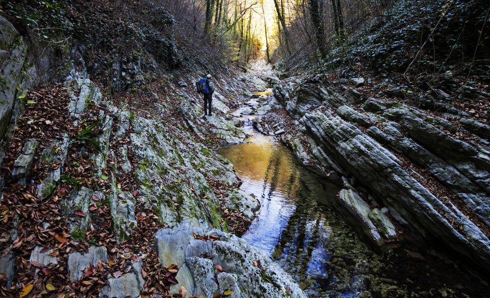 Photograph by Антон Литвин