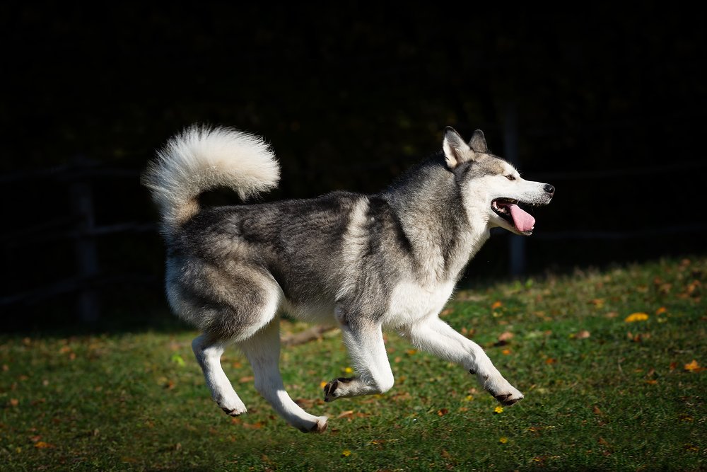 Photograph by Мария Ратушная