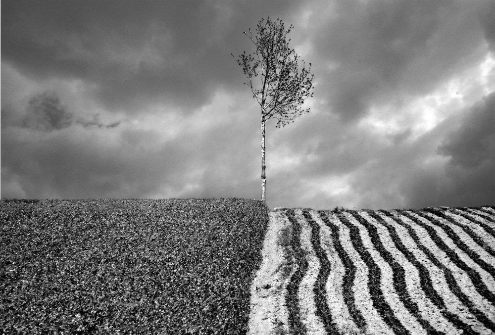 Photograph by LEMPEREUR VINCENT