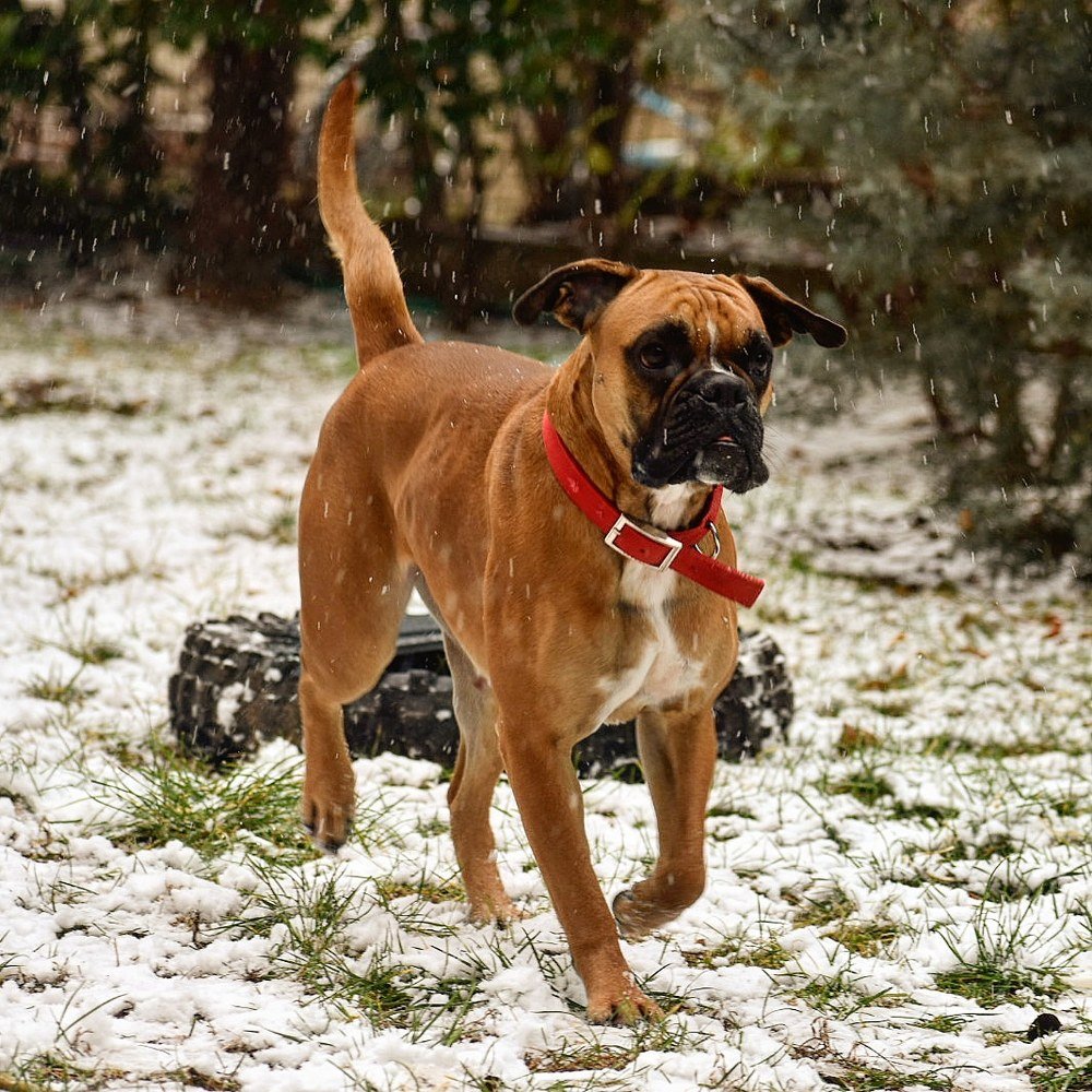 Photograph by Xristos Taxidis