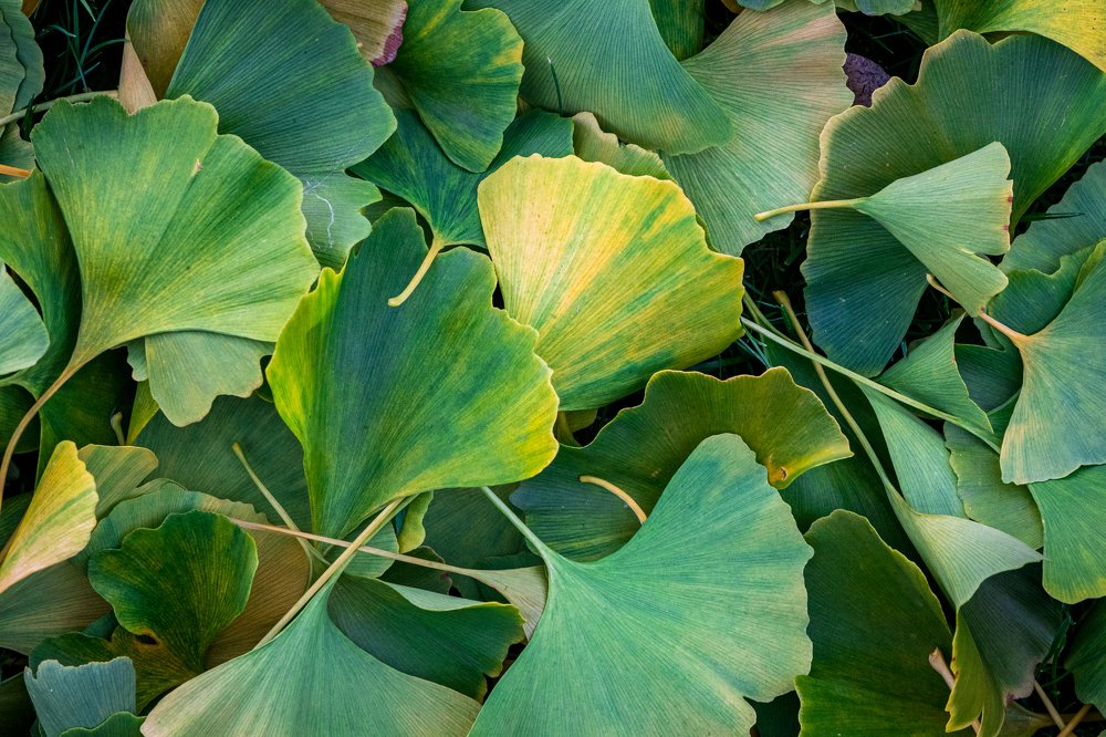 Photograph by  Mykhailo