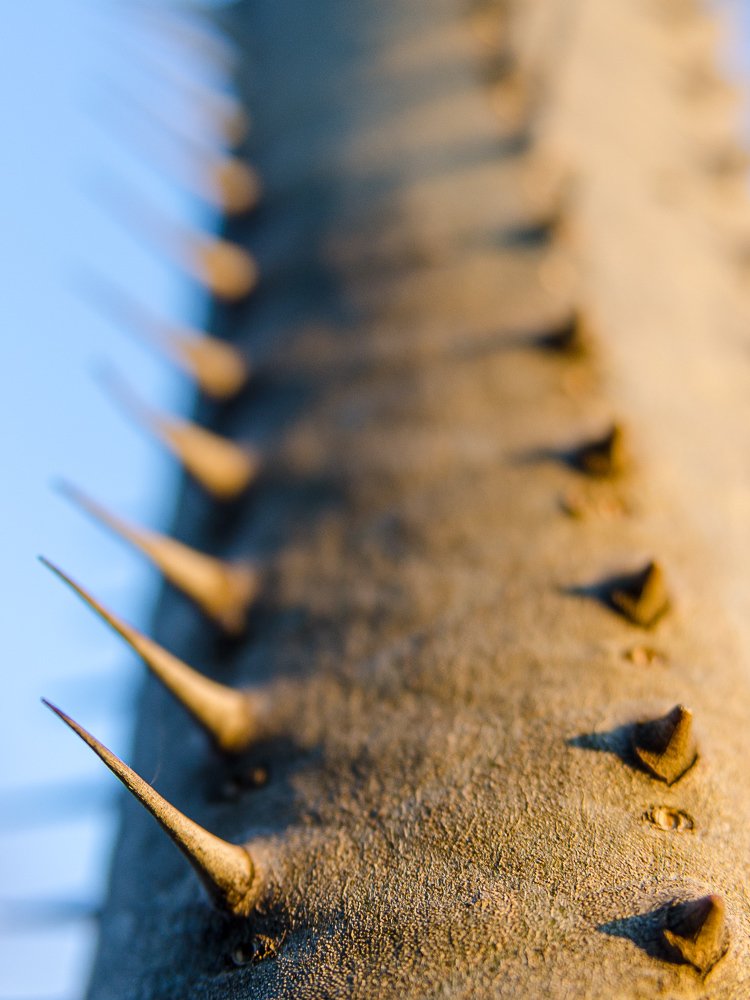 Photograph by Данил Луговой