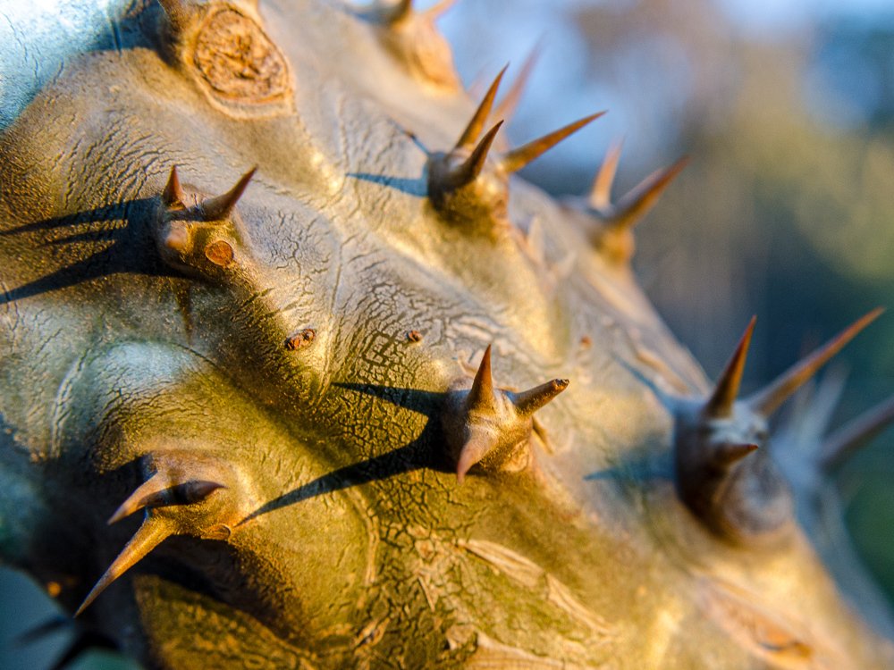 Photograph by Данил Луговой