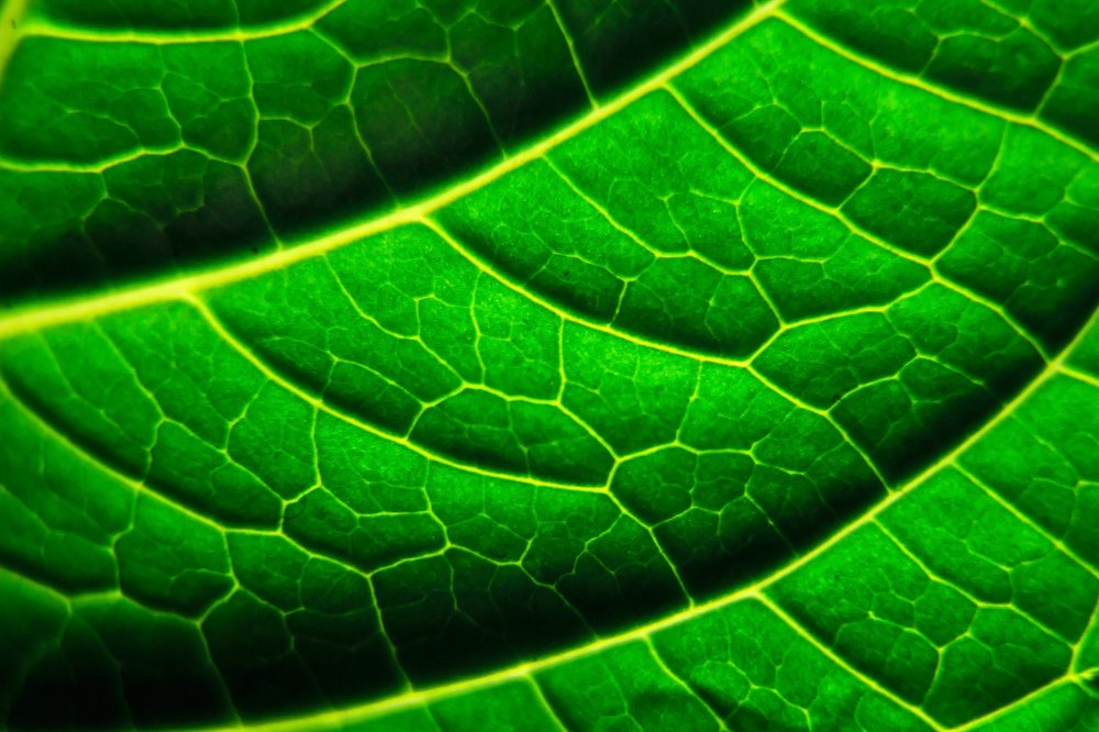 Photograph by Катя