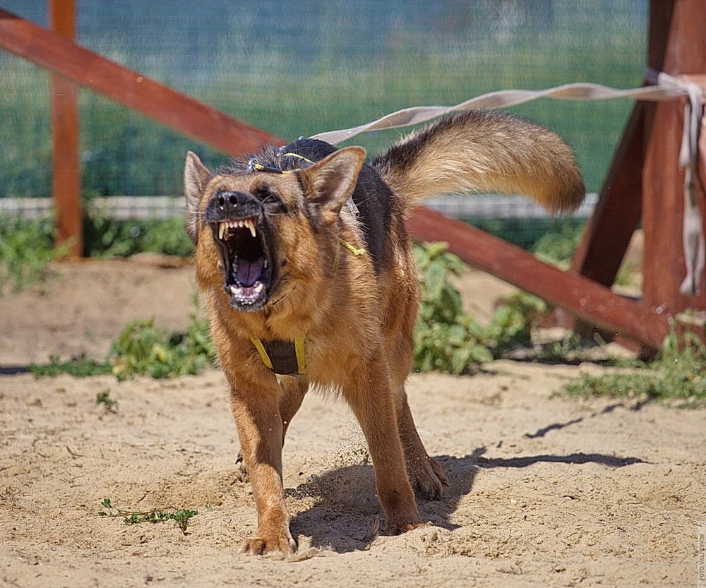 Photograph by Валентин Евкин