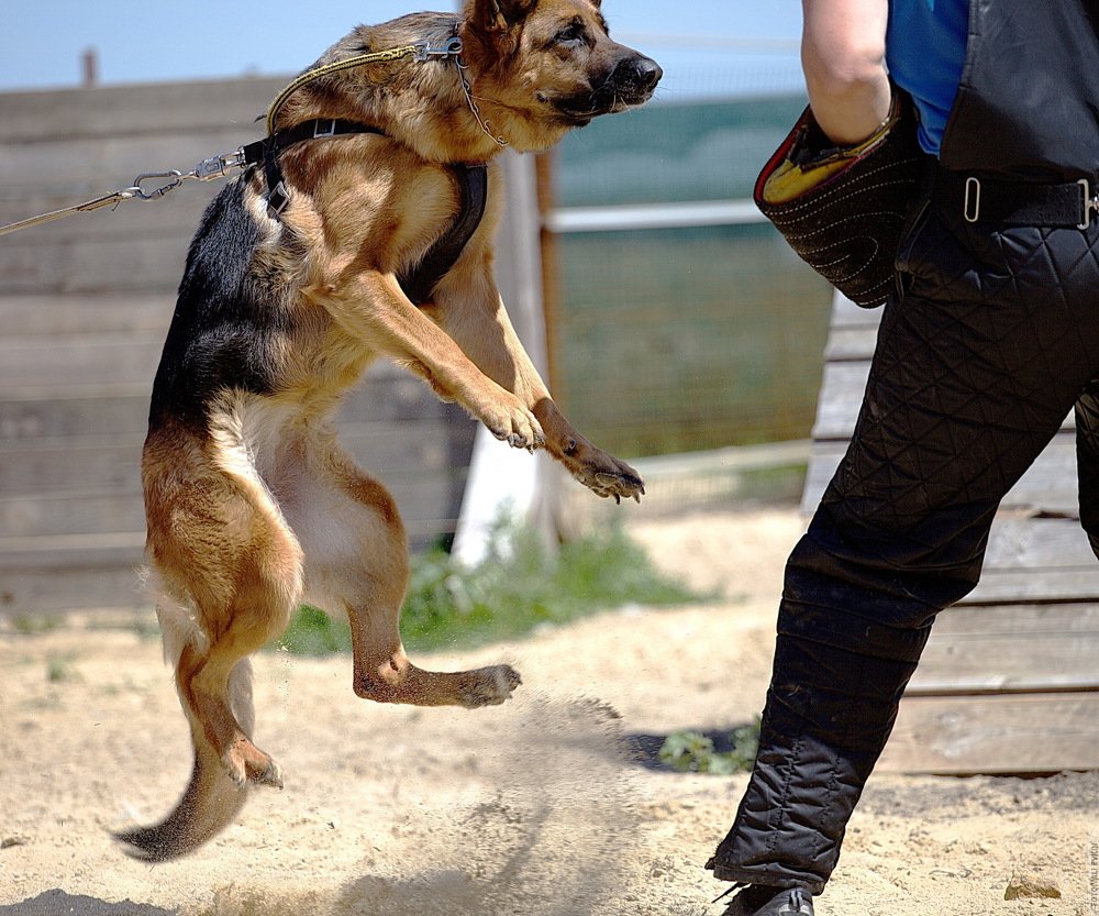 Photograph by Валентин Евкин