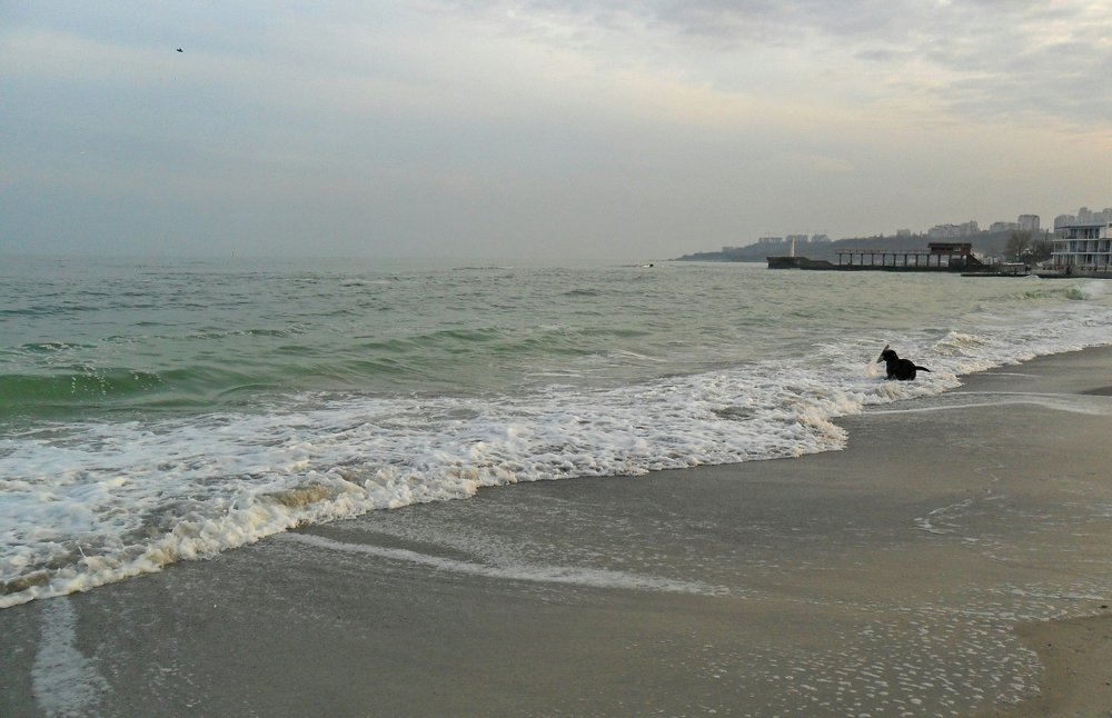 Funny day near the sea