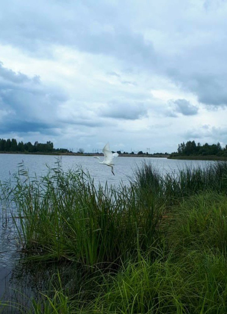 Photograph by Олеся Евсеенко