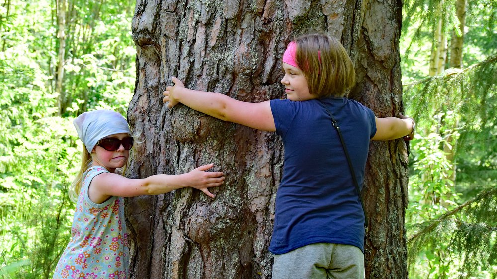 Tree hugging sisters