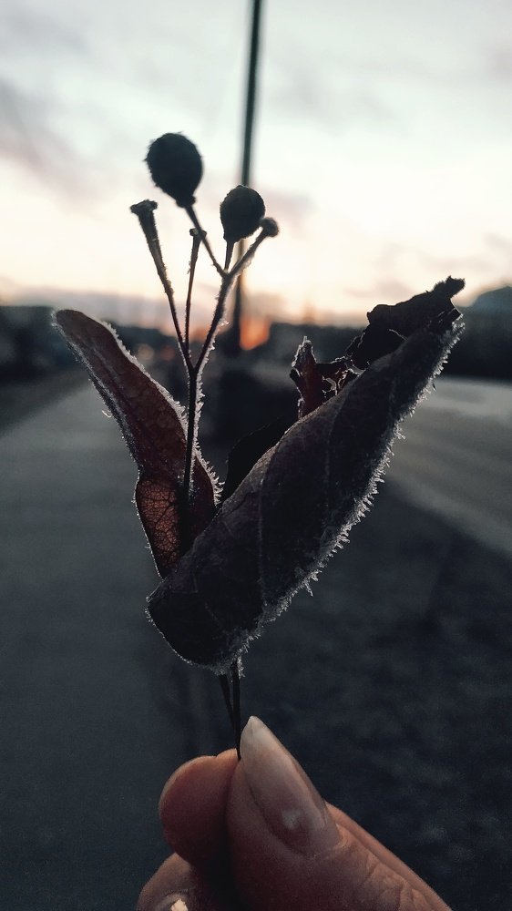 Photograph by Адель Магаева