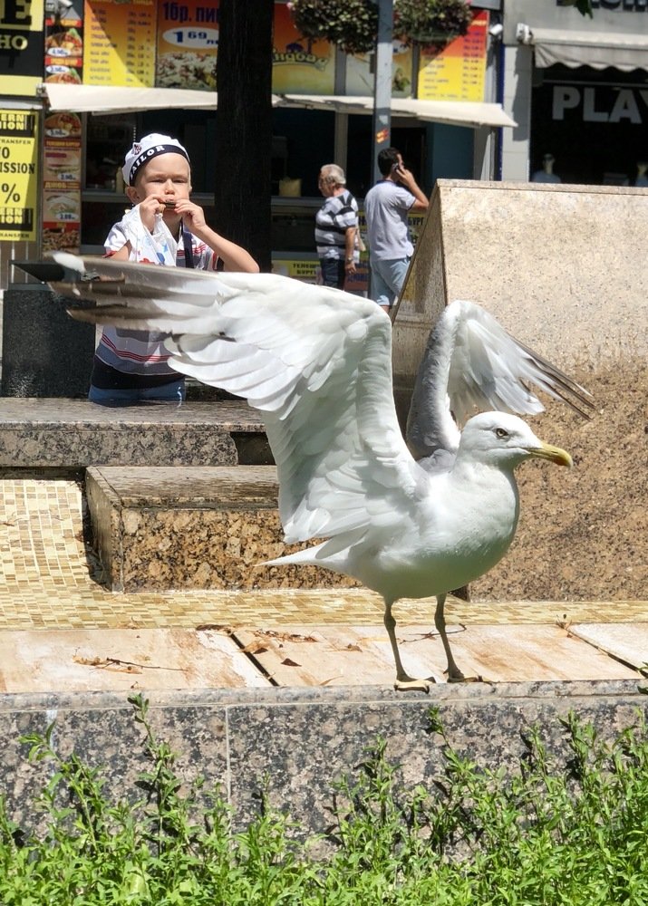 Photograph by Ольга Харлан