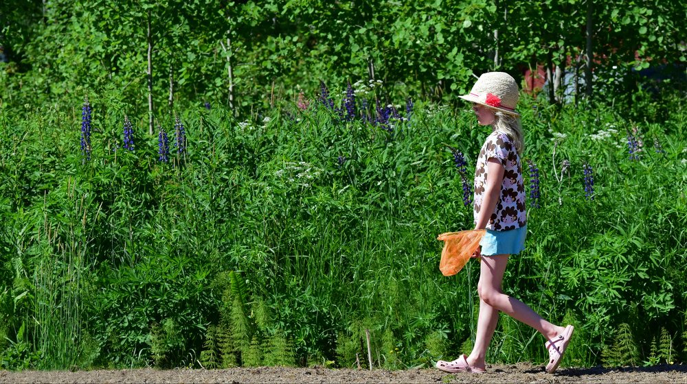 Young girl hunting butterflies