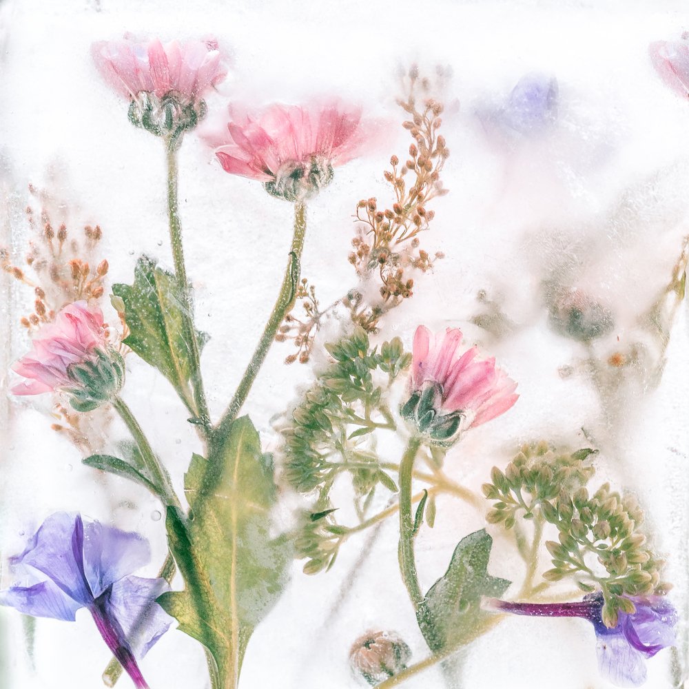 Вечная жизнь