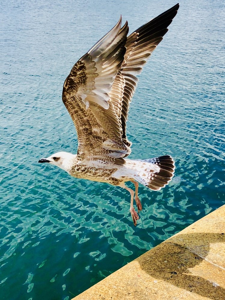 Photograph by Ольга Харлан