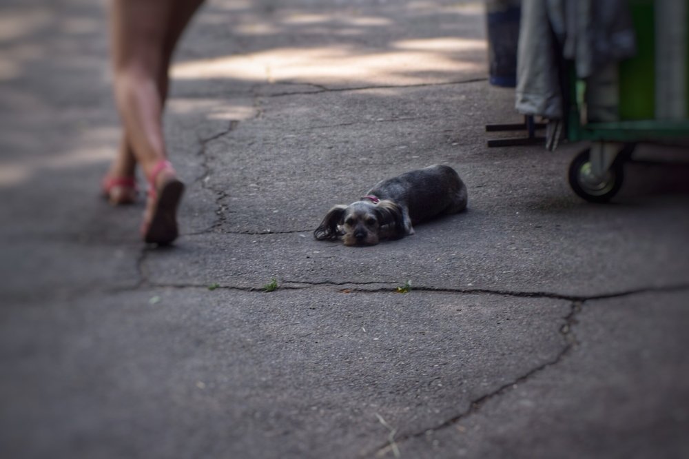 Photograph by Ольга Донец