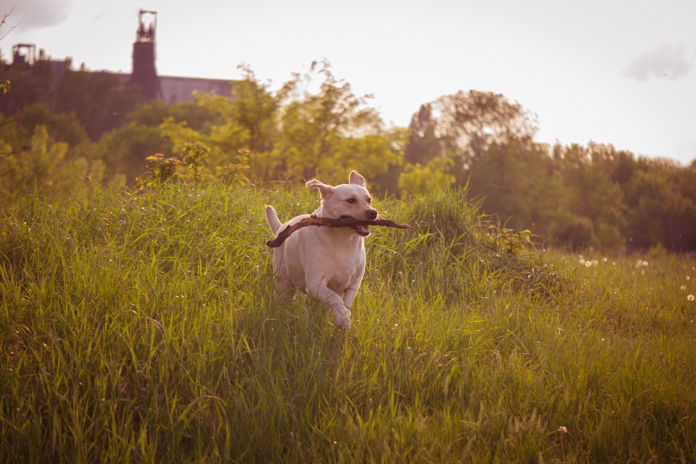 Photograph by Сергей Масленников