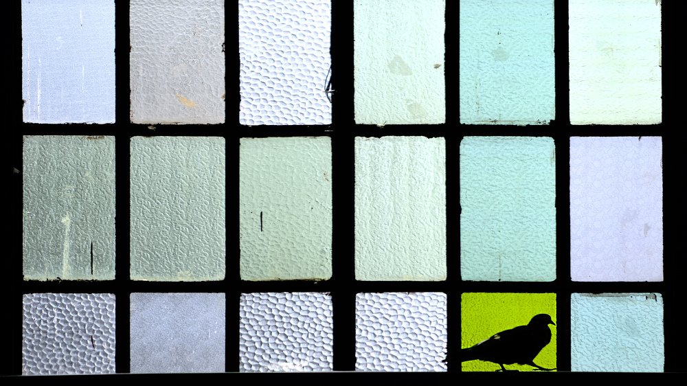 Photograph by Bekir Yesiltas