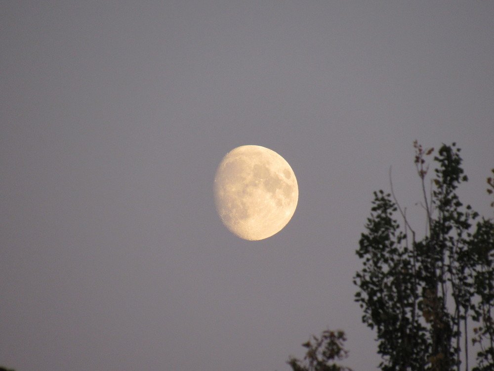 Photograph by Виталий Кощей