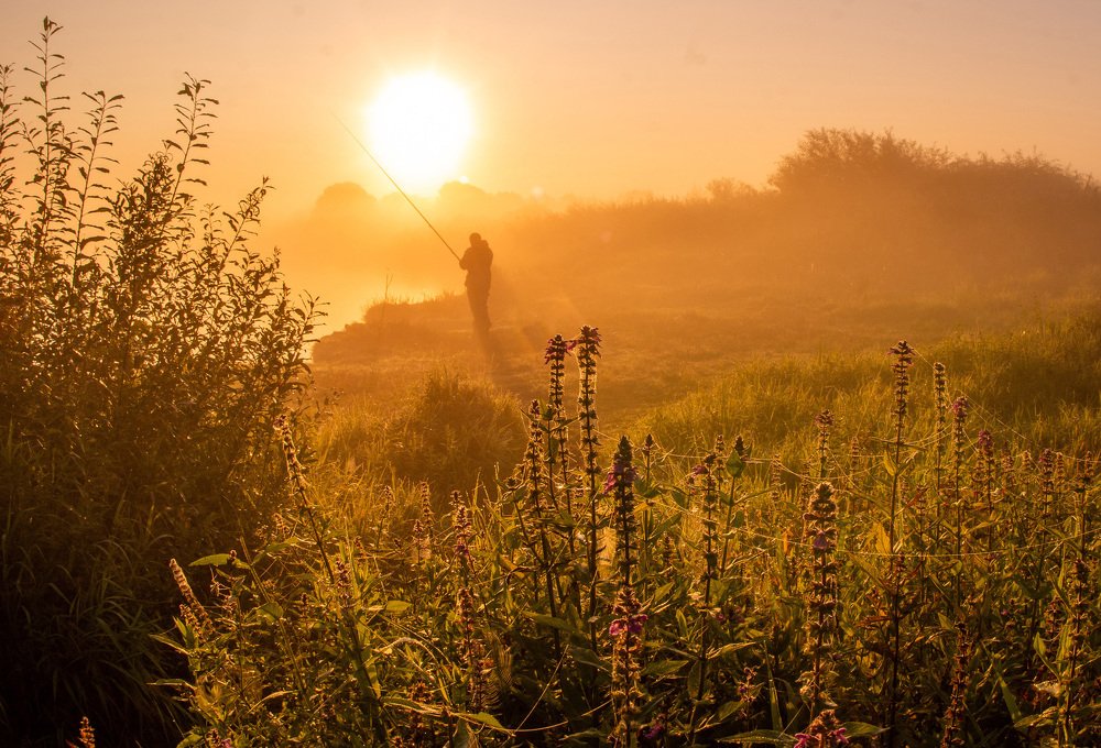 Photograph by Евгений Новицкий