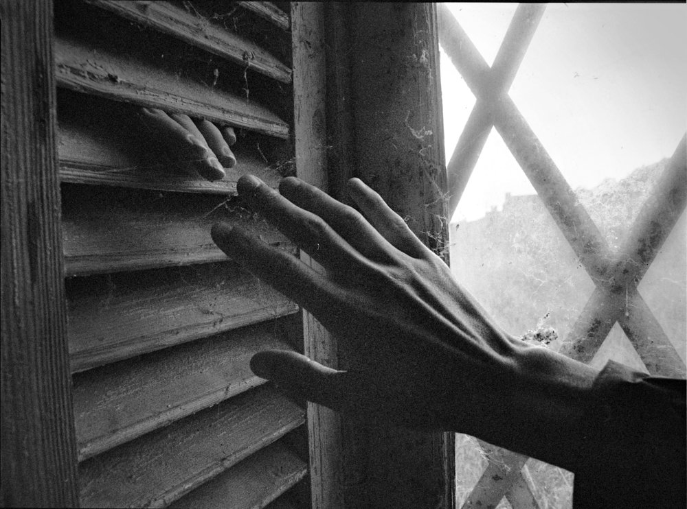 Photograph by Елена Литвинова