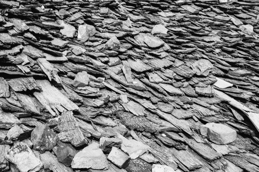 Photograph by Alireza khazaei