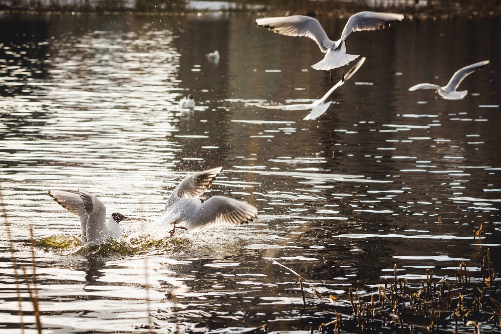 Photograph by Катя