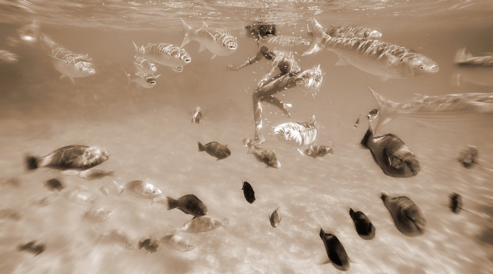 Хорошо живется рыбкам