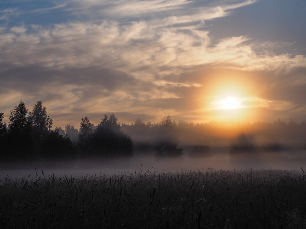 Июньский рассвет.