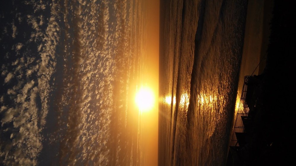 Photograph by Anjelika