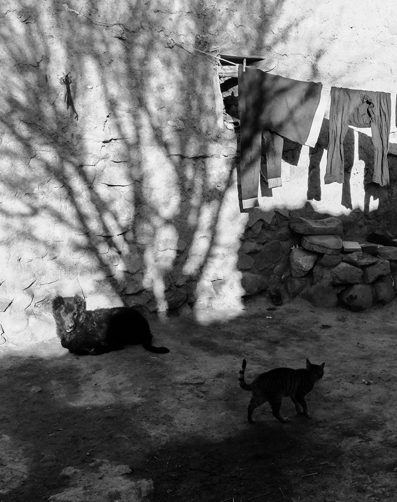 Photograph by ghasem sahrayi