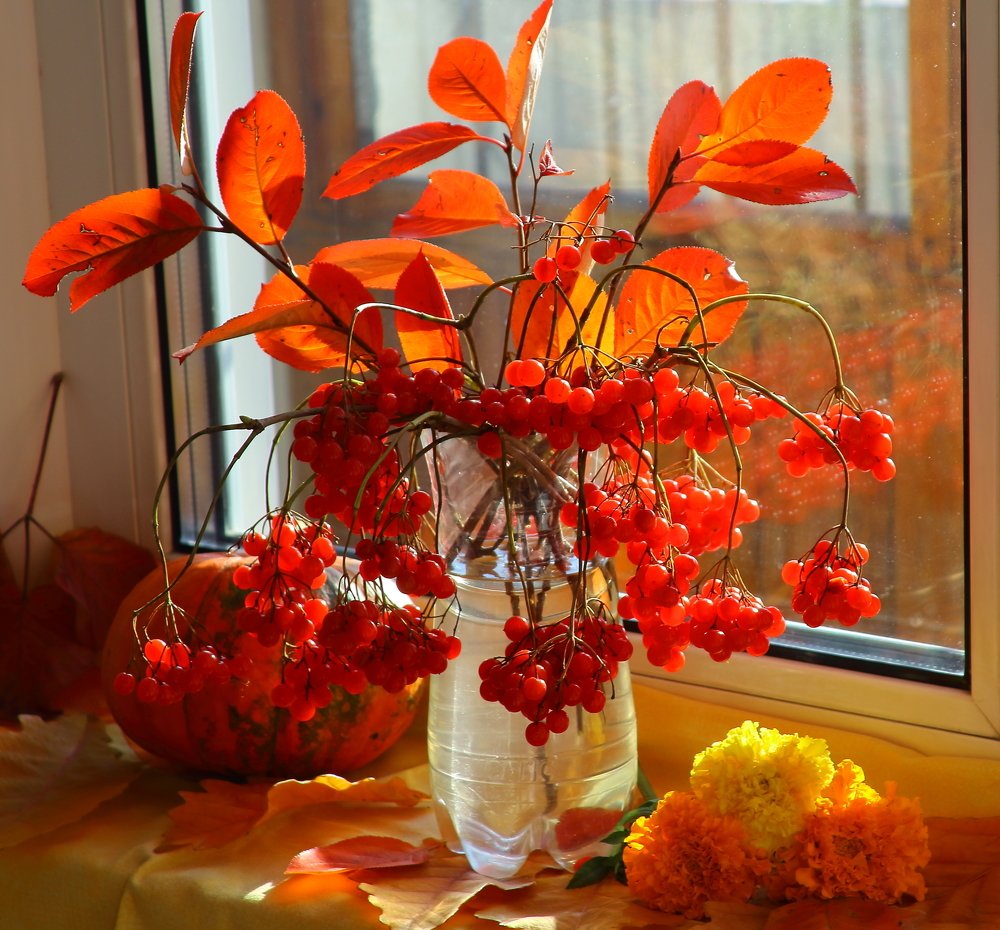 Photograph by Нина Титенкова