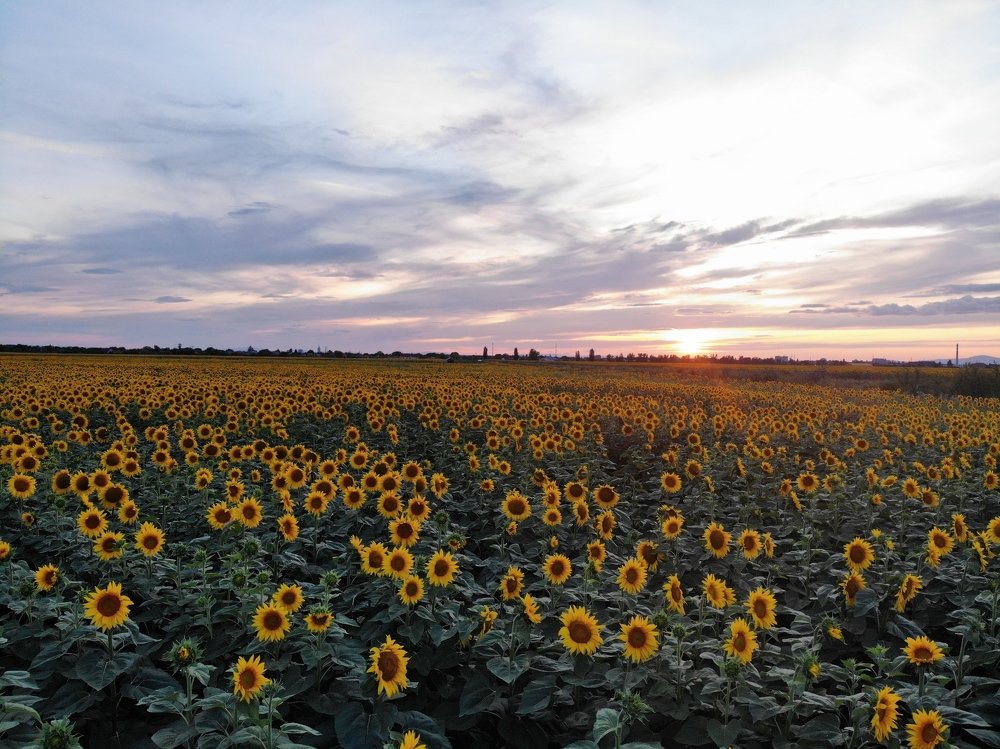 Photograph by Роберт Месарош