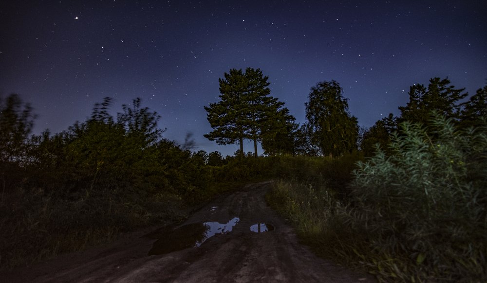 Photograph by Дарья Молчанова