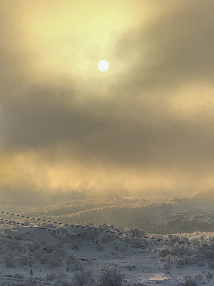 «Буйство красок»