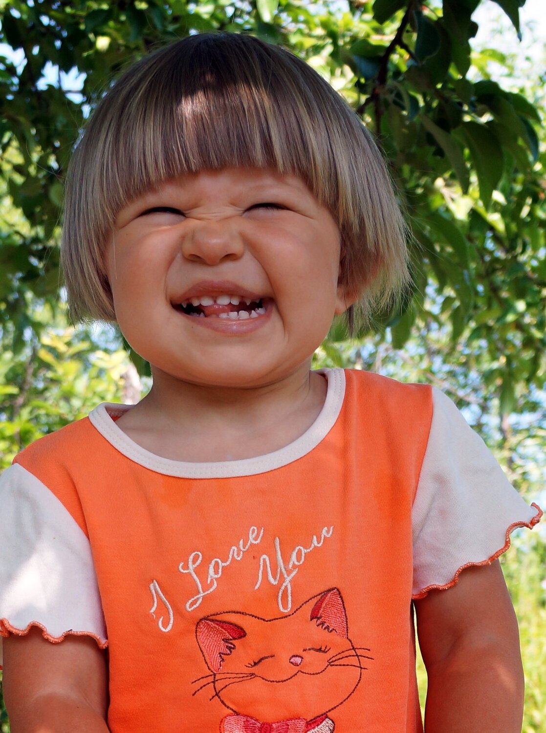 Photo #3887963