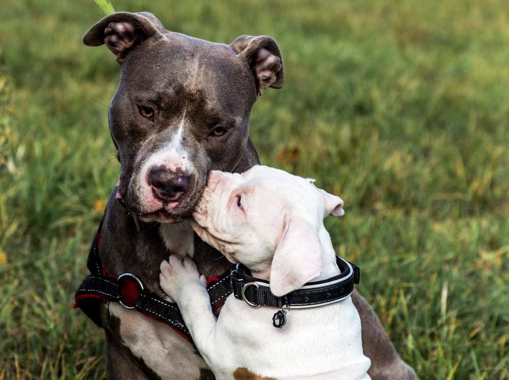 Photograph by Elena Gebert