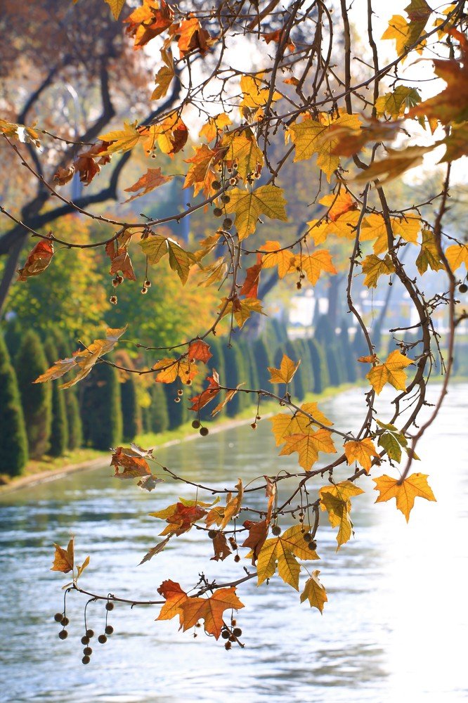 Набережная реки Анхор в Ташкенте