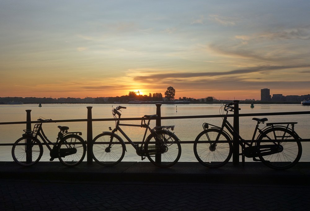 в ожидании седоков