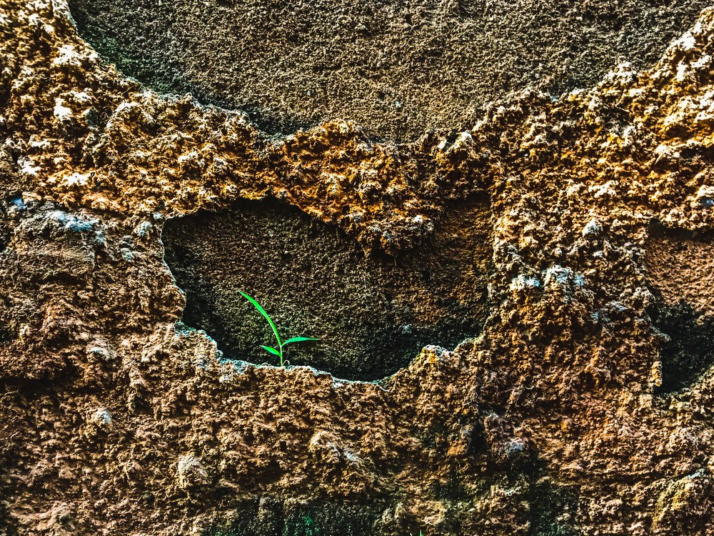 Photograph by Geoff Walker