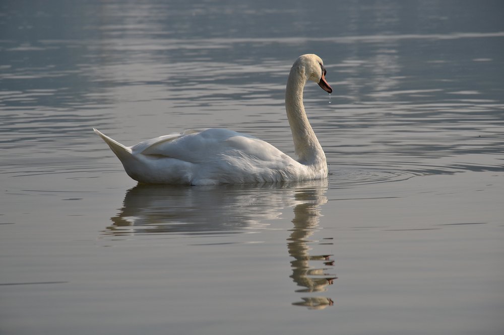 Photograph by Aleksandra Spasojevic