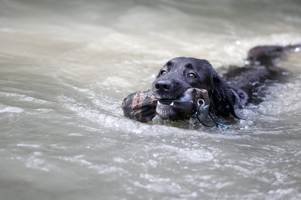 Photograph by Elena Guseva