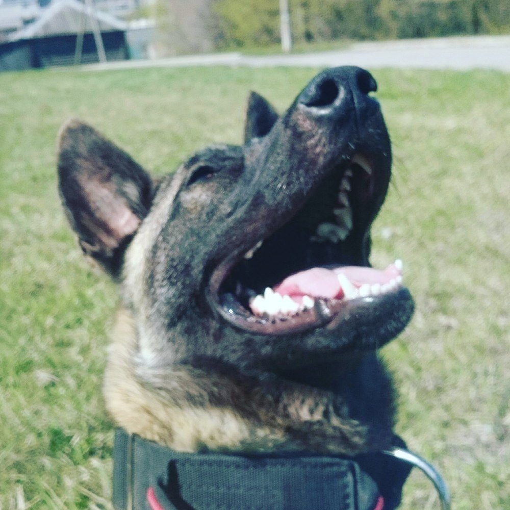 Photograph by Алексей Крутов