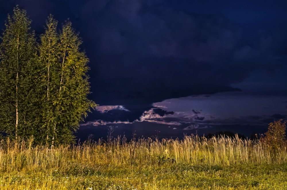 Photograph by Владимир Максимов