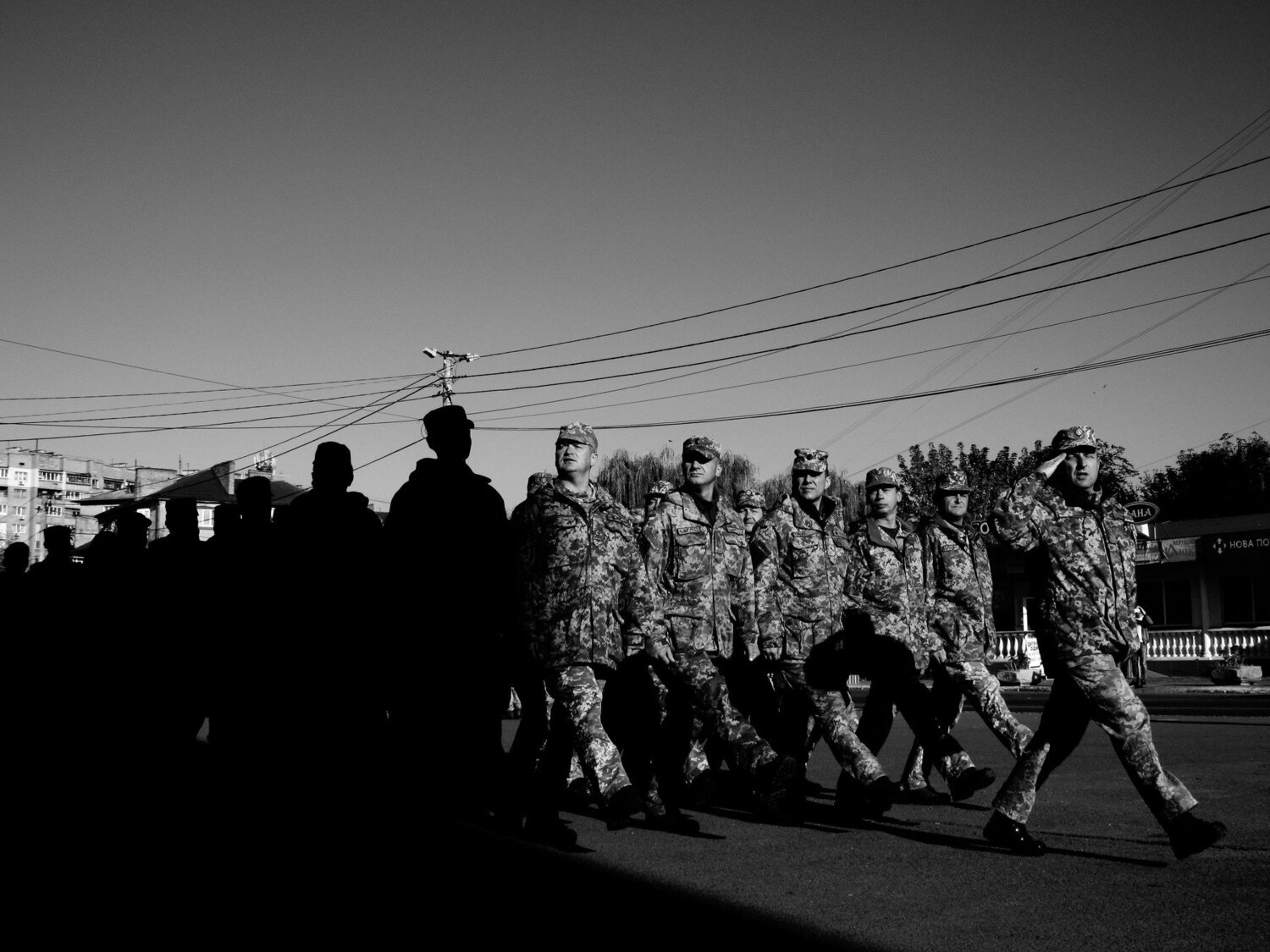 Photo #3888145