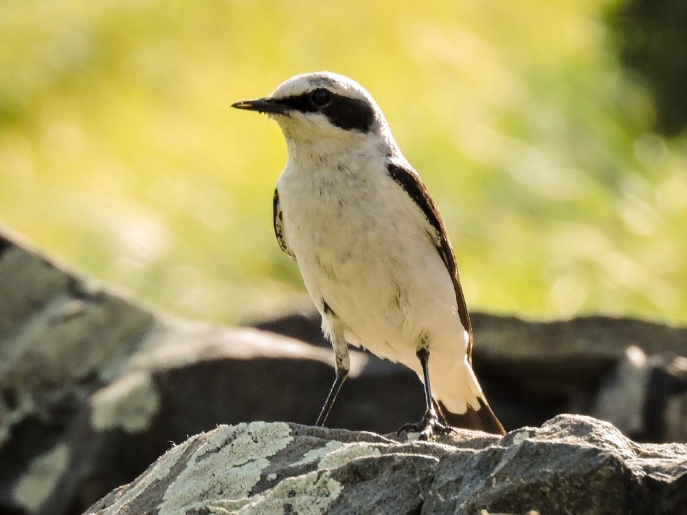 Photograph by Анна Самойлова