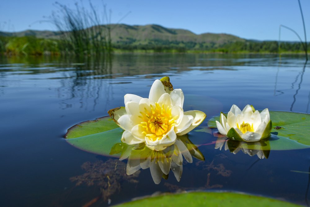 Башкирские красавицы