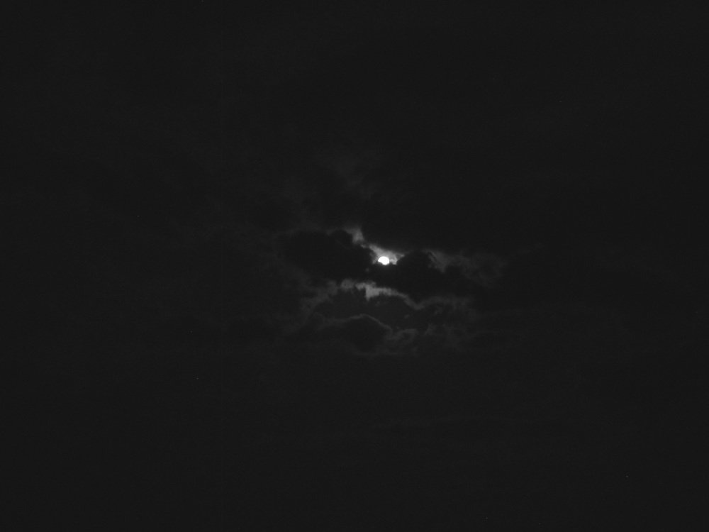 Photo #3888255