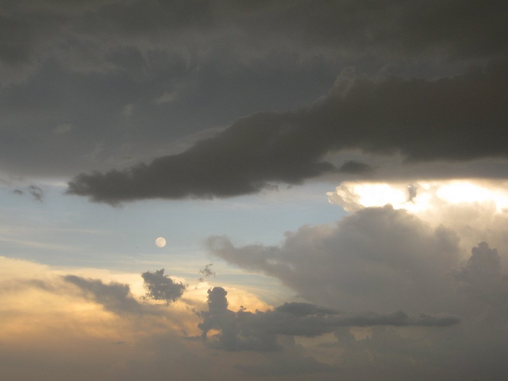 Photo #3888307