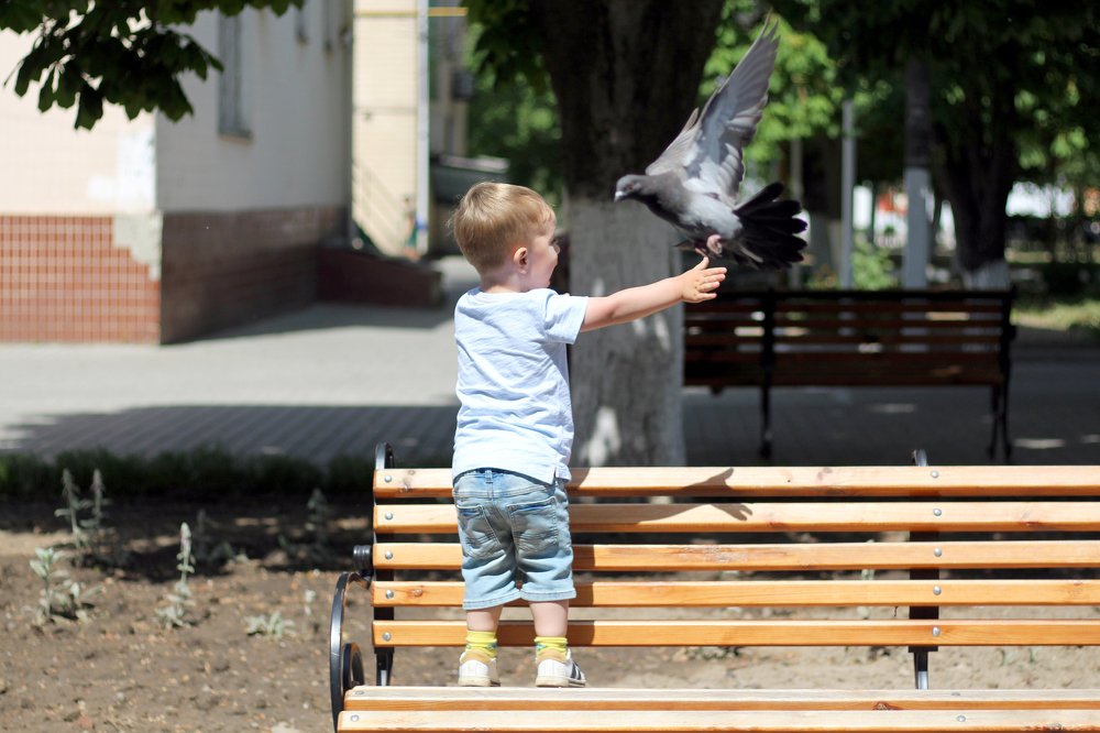 Photograph by Виктория Бурова